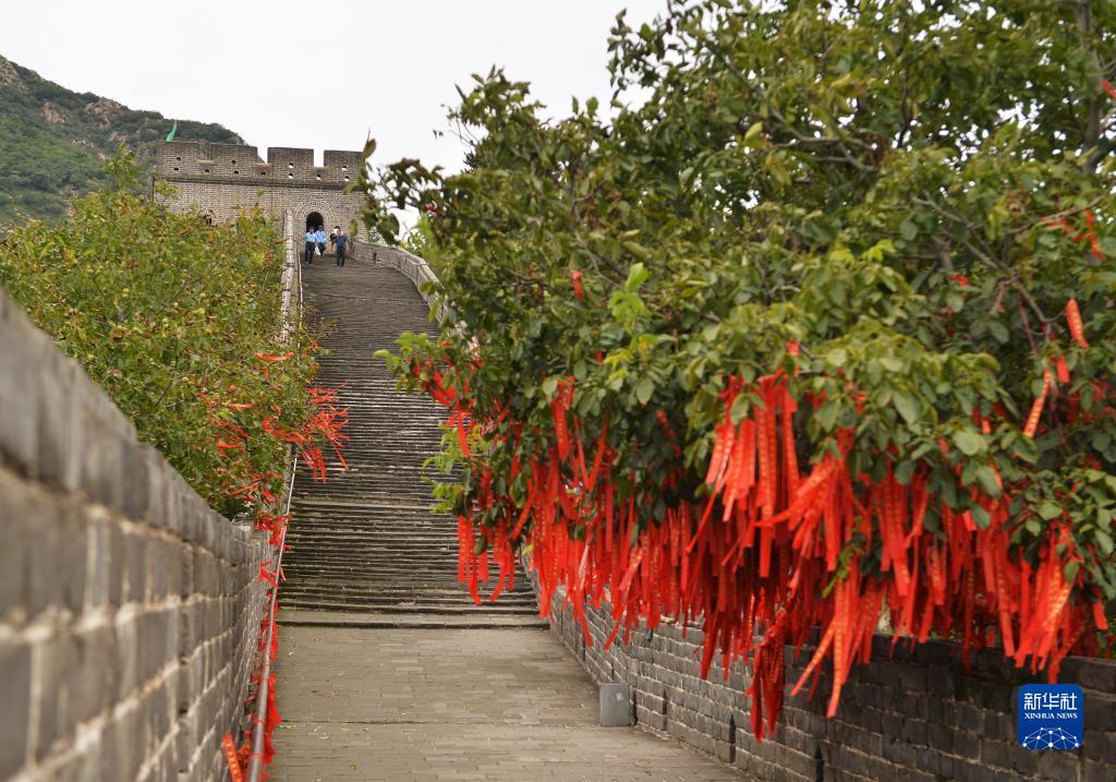 手机赌场游戏下载
